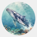 Zoek naar walvis stickers Kust