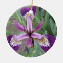 Recherche de iris ornements Anniversaire