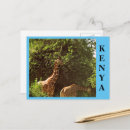 Recherche de pour manger cartes postales Sauvage