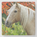 Recherche de cheval palomino de dessous de verres Pour tous