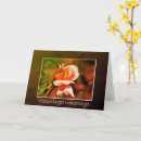 Zoek naar pool verjaardagskaarten Fotografie