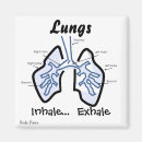 Zoek naar lichaamsdelen magneten Medisch