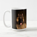 Recherche de chien de berger belge tasses Pour tous