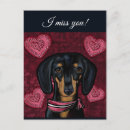 Recherche de teckel cartes postales Doxie
