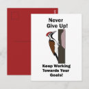 Zoek naar spechten briefkaarten Vogel