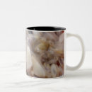 Recherche de palourdes tasses Plage