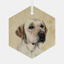 Zoek naar labrador dog ornamenten Huisdier