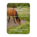 Zoek naar paarden magneten Dier