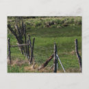 Recherche de enfance cartes postales Papa