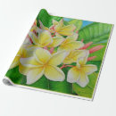 Recherche de hawaï papier cadeau Plumeria