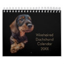 Zoek naar dachshund kalenders Wirehair