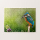 Recherche de pêcheur puzzles Nature