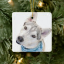 Zoek naar siberian husky ornamenten Schattige hond