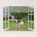 Recherche de jack russell puzzles Animal de compagnie