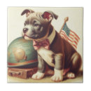 Zoek naar pitbull tegels Amerikaanse pitbull terriër