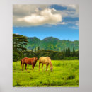 Recherche de chevaux sur la plage posters Pour elle