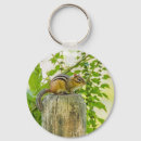 Recherche de chipmunk porteclés Sauvage
