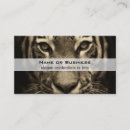 Recherche de de tigre cartes visite Chat sauvage