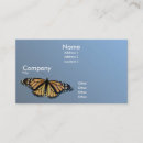 Recherche de aile bleue cartes visite Insecte