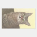 Recherche de grand chat autocollants Tabby