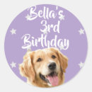 Zoek naar kleine huisdieren stickers For pets