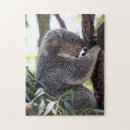 Zoek naar koala puzzels Familie