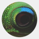 Recherche de oeil animal autocollants Faune