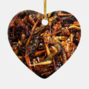 Zoek naar grasshoppers ornamenten Bug