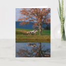 Recherche de deux chevaux vœux cartes Exécution