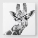 Zoek naar met giraffe klokken Dieren