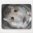 Zoek naar mousemats muismatten Diverse soorten