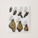 Recherche de cocon puzzles Animal