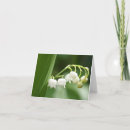 Zoek naar lelietje van dalen kaarten Bride