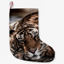Zoek naar tijgers kerstsokken Wilde katten