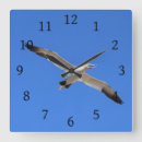 Recherche de oiseau de vol art Ciel bleu