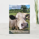 Recherche de vache drôle vœux cartes Pour elle