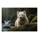 Recherche de bear posters Ours noir