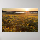 Zoek naar bos landschap posters Bloemen