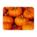 Recherche de gourde magnets Citrouille