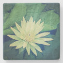 Recherche de nénuphar dessous de verres Fleurs