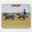 Recherche de horseman Cowboy