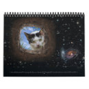Recherche de surréaliste calendriers Animaux