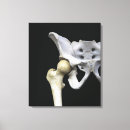 Recherche de articulation art Anatomie