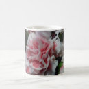 Recherche de oeillet rose tasses Beau