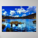 Recherche de foret noire posters Eau