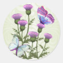 Recherche de fleur chardon autocollants Insecte