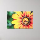 Recherche de fleur de marguerite toiles Animal