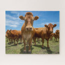 Recherche de farm puzzles Livestock
