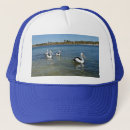 Recherche de mers casquettes Faune