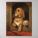Zoek naar westie kunst West highland terriër